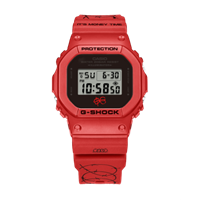 Orologio Casio Uomo in Resina DW-5600SFE25-4ER